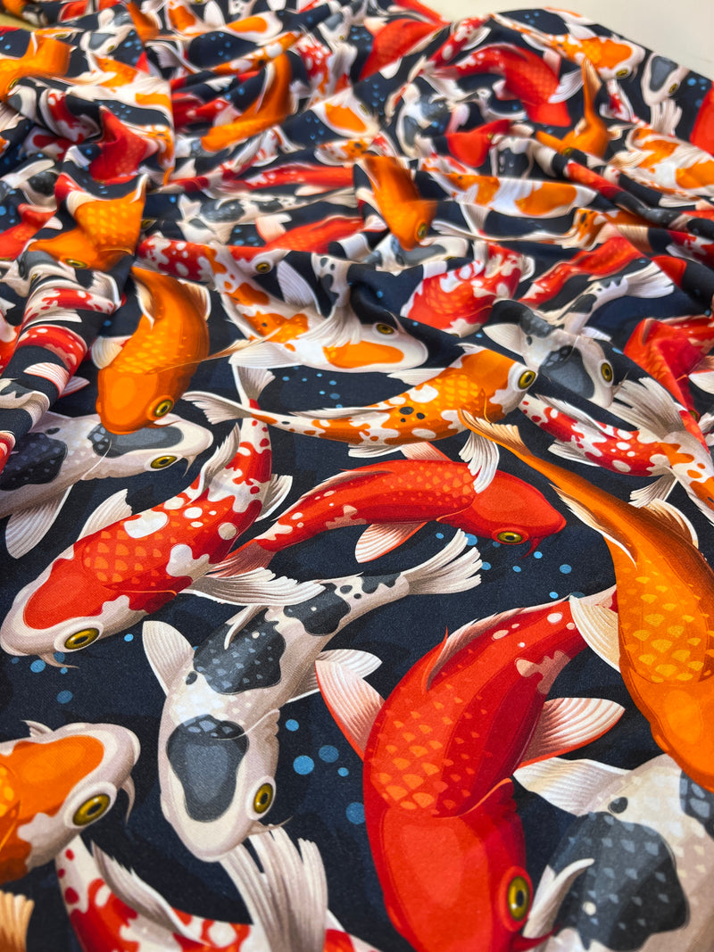 Koi