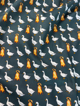 Geese Series