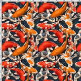 Koi