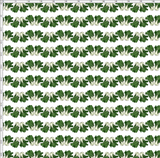 Bok Choy