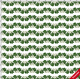 Bok Choy